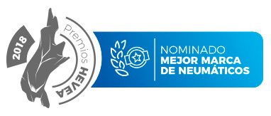 mejor-marca-neumaticos