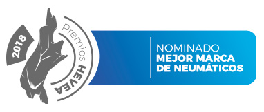 mejor-marca-neumaticos