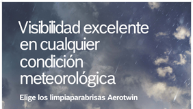 escobillas