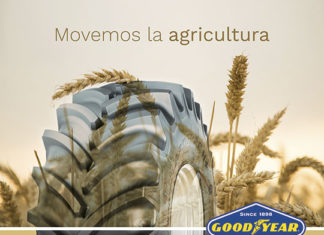 NEX y Goodyear