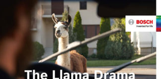 The Llama Drama