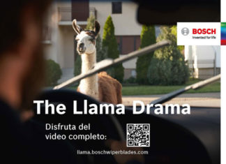 The Llama Drama
