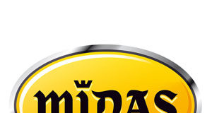 MIDAS EN FranquiShop