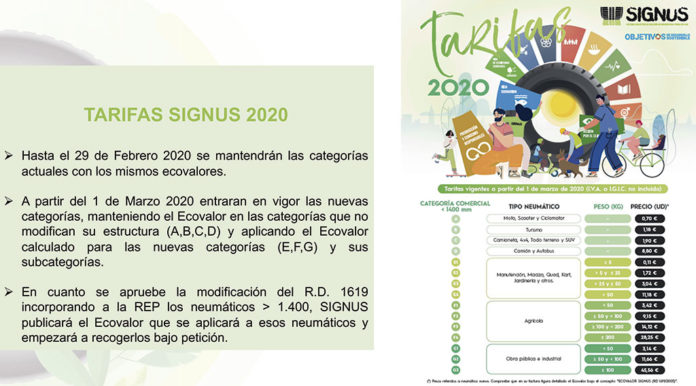 Signus
