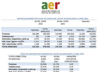 matriculaciones renting