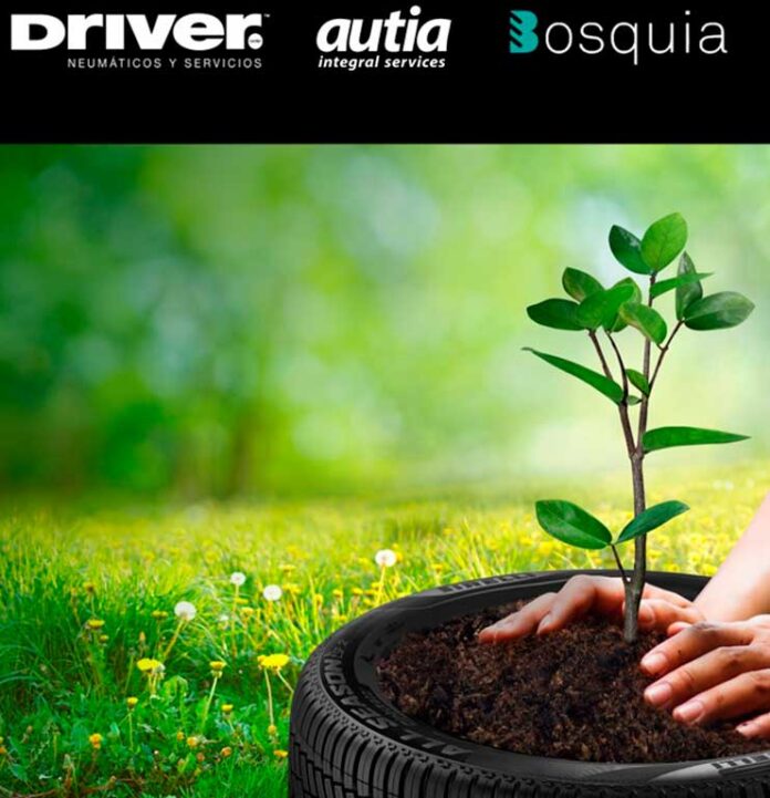 Grupo Driver y Bosquia