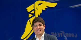 Alberto Villarreal Goodyear