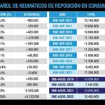 datos Mercado español neumáticos