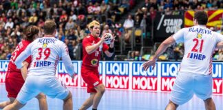 Liqui Moly balonmano