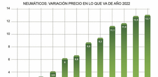 precios neumáticos ADINE