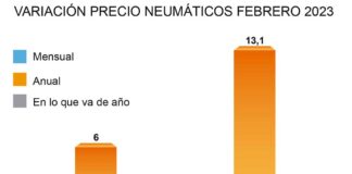 precio neumáticos
