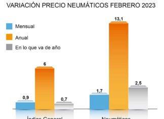 precio neumáticos