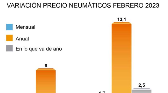 precio neumáticos