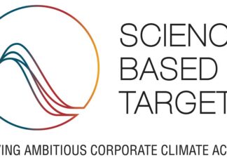Bridgestone certificación SBT