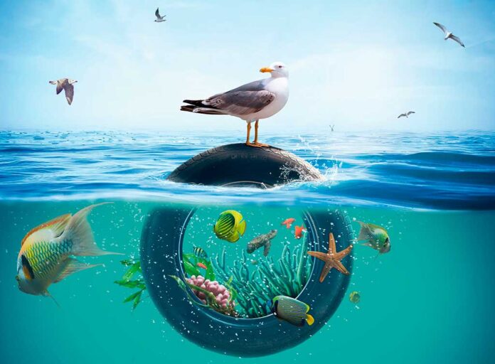 TNU-DIA-MUNDIAL-OCEANOS TNU océanos