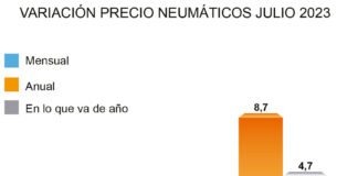 ADINE precio neumáticos julio