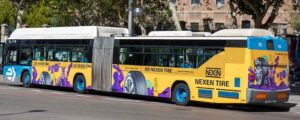 Grupo Soledad Nexen autobuses