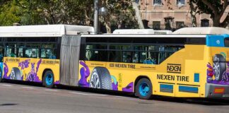 Grupo Soledad Nexen autobuses
