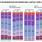 mercado español neumáticos 2023