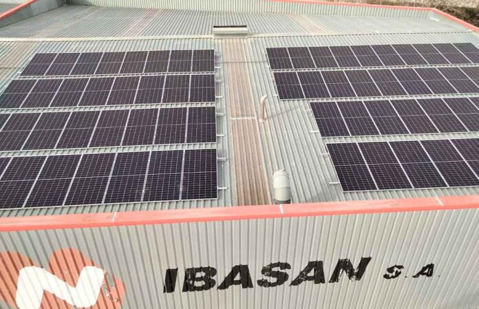 Ibasan paneles solares