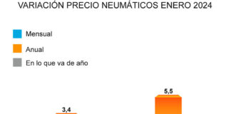 ADINE precio neumáticos enero