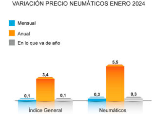 ADINE precio neumáticos enero