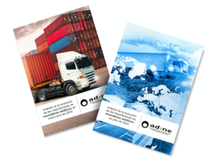 ADINE IMPORTACIONES JULIO