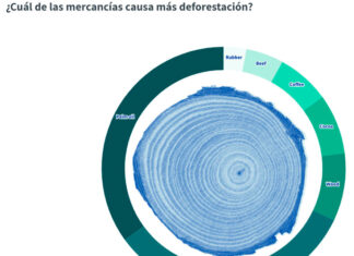 Ley deforestación Consejo Europeo
