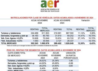 Renting España noviembre 2024