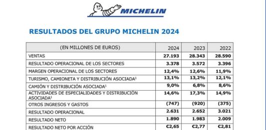 Grupo Michelin 2024