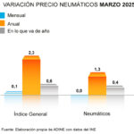 precio neumáticos marzo ADINE