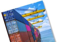 importación neumáticos enero ADINE