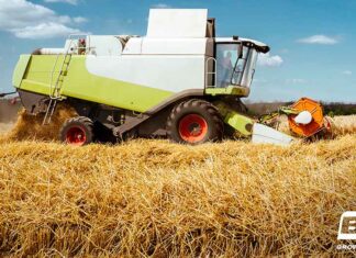 San José Neumáticos Demoagro