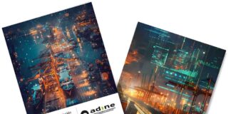 importaciones Asia ADINE