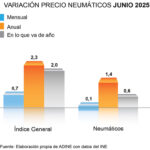 ADINE precio neumáticos junio