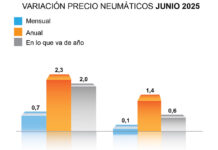 ADINE precio neumáticos junio