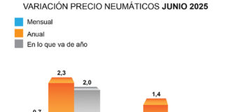 ADINE precio neumáticos junio