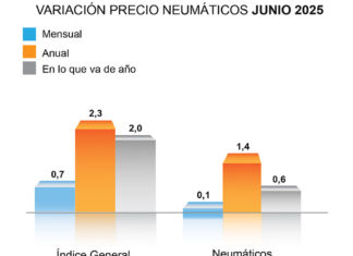 ADINE precio neumáticos junio