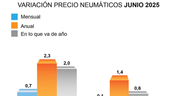 ADINE precio neumáticos junio