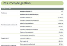 productores Signus 2024