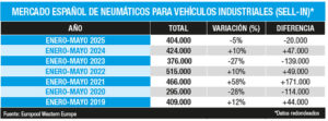 Neumáticos V.I. pinchazo