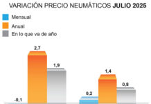 ADINE precio neumáticos julio