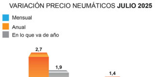 ADINE precio neumáticos julio