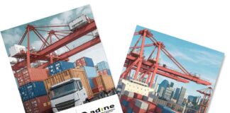 importaciones neumáticos asia adine