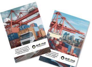 importaciones neumáticos asia adine