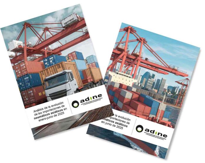 importaciones neumáticos asia adine