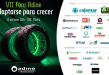 VII Foro ADINE