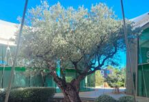 Point S Campus