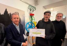 Signus Traductores Premios