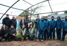 Driver bosque Portugal